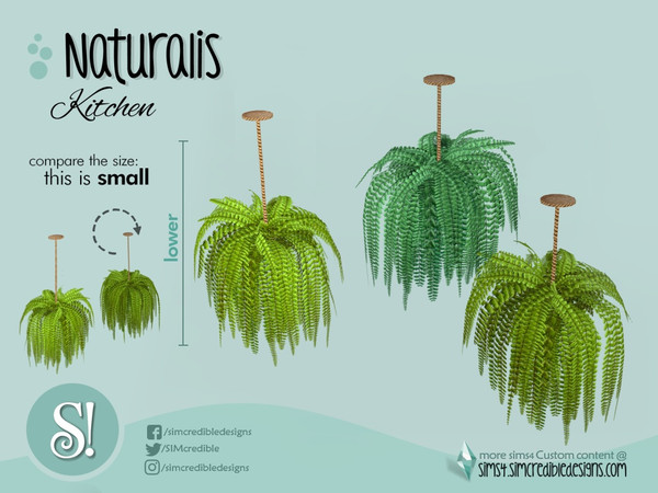 The Sims Resource Naturalis Hanging Fern