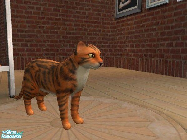 The Sims Resource - Small Tiger