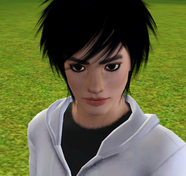 Sims 4 Death Note Mod