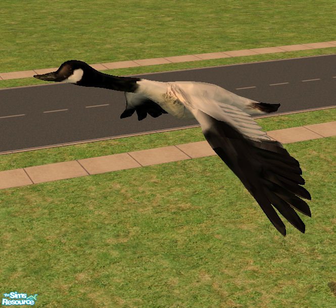 The Sims Resource - Animated Canadian Goose - Custom Sounds