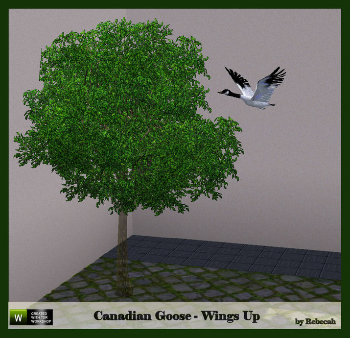 The Sims Resource - Canadian Goose Wings Up
