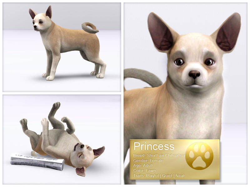 The Sims Resource - Chihuahua - Princess