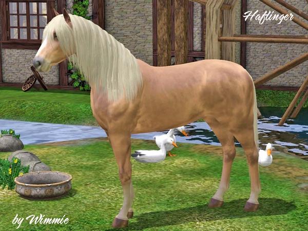 The Sims Resource - Haflinger