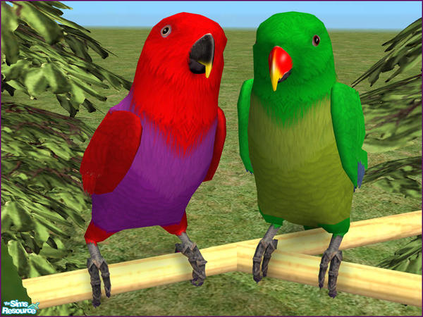 Mod The Sims - The Sims 4 Parrot CC Pack