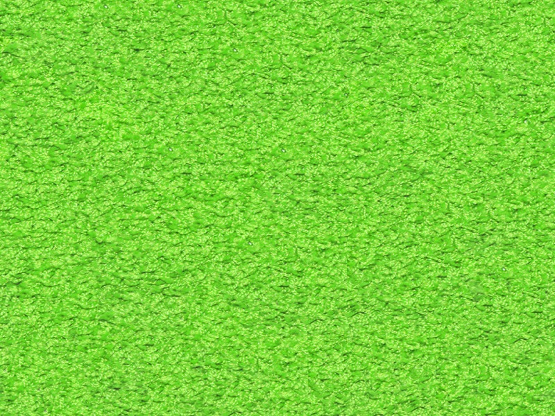 abormotova's Lime Green Carpet