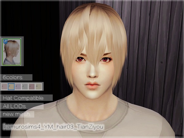 The Sims Resource - kamurosims4_YM_hair03_TianZiyou