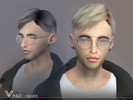 ALExIA483's Adrien Agreste - Set004 - Hair
