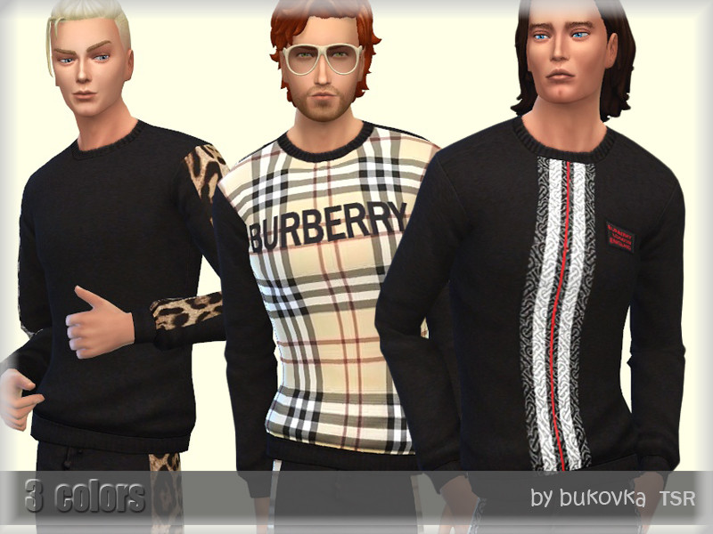 The Sims Resource - Sweater Male