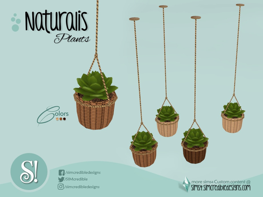 The Sims Resource - Naturalis Hanging Plant suculenta