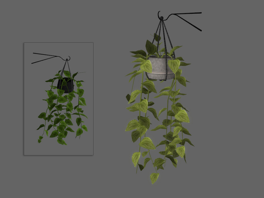 The Sims Resource - Ashen Hanging Plant