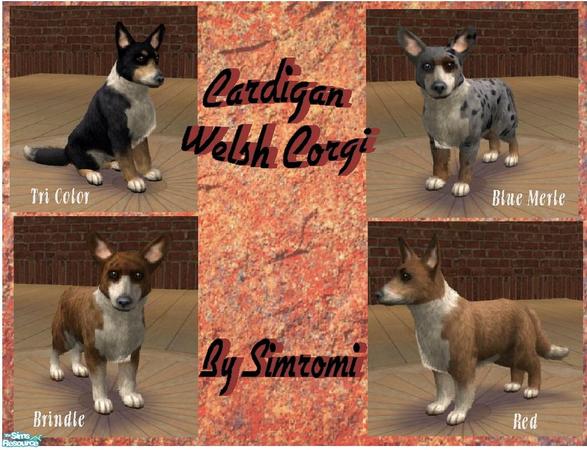 The Sims Resource - Cardigan Welsh Corgi Dog Pack