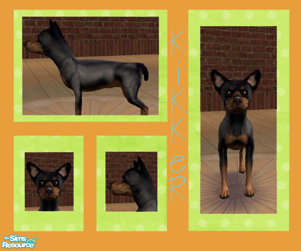 The Sims Resource - Miniature Pinscher - Small Dog